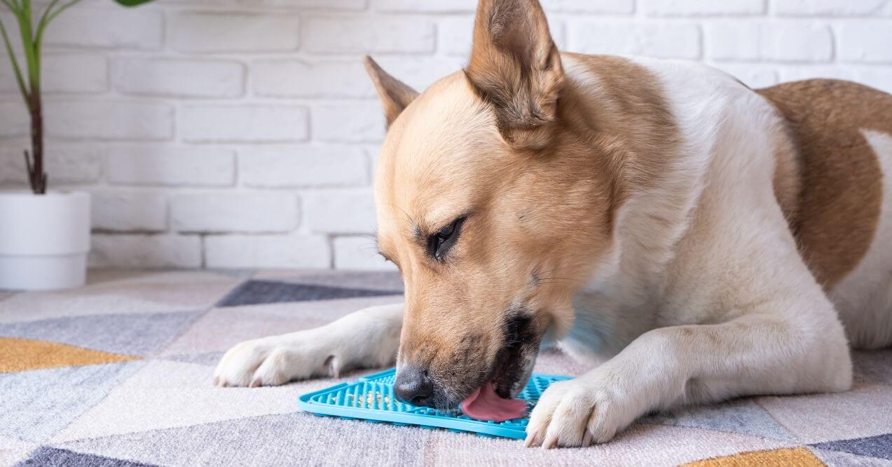 Silicone Dog Lick Mat & Slow Feeder | Suction Cup Anxiety Relief