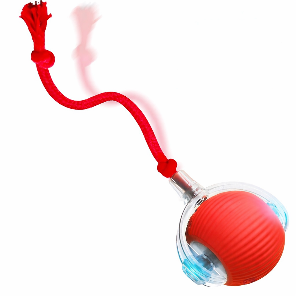 Smart Interactive Rolling Ball Toy for Dogs