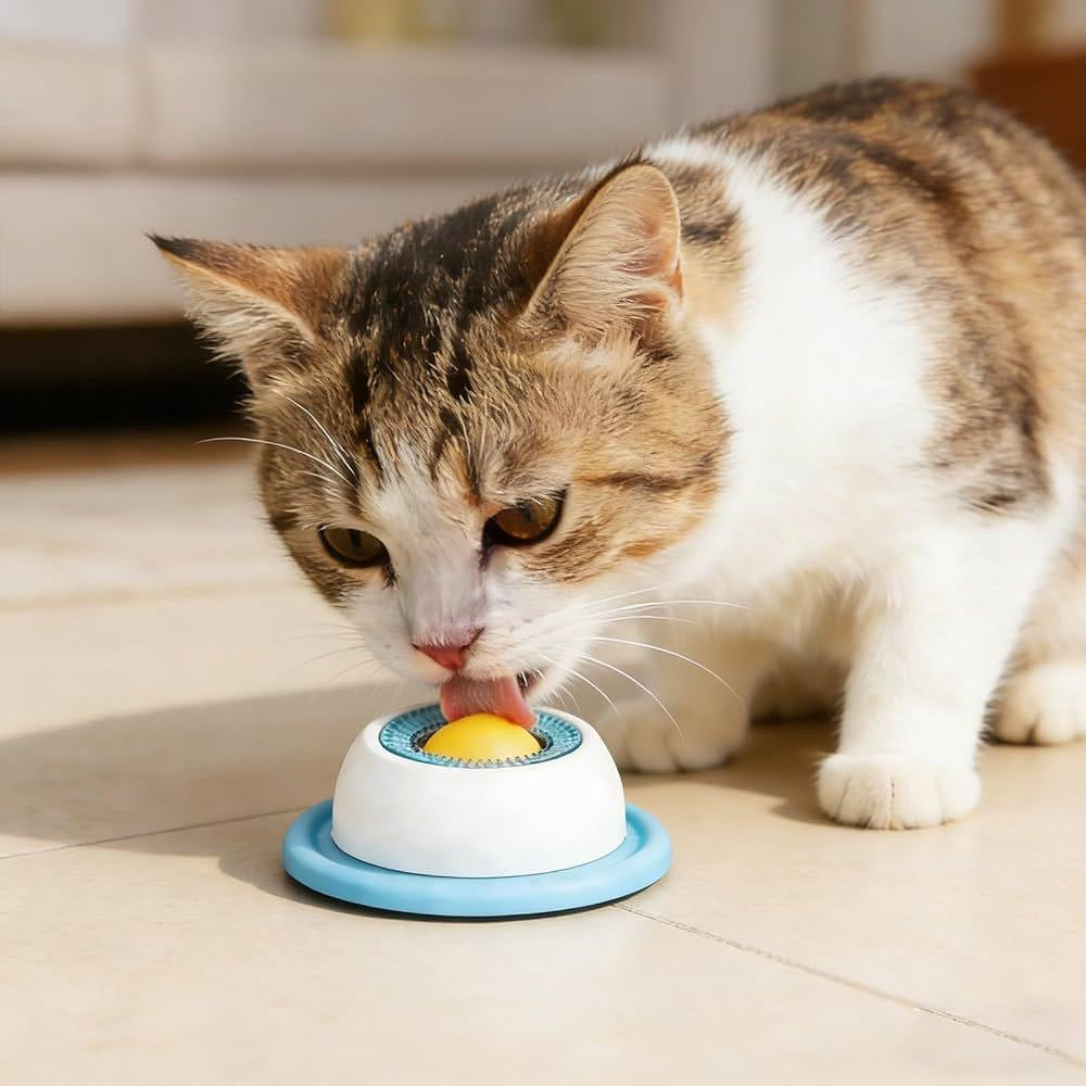 Pet Lick Mat Plate – Slow Feeder & Interactive Snack Bowl