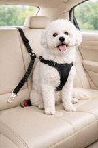 Adjustable Dog Car Safety Seat Belt – Secure & Comfortable