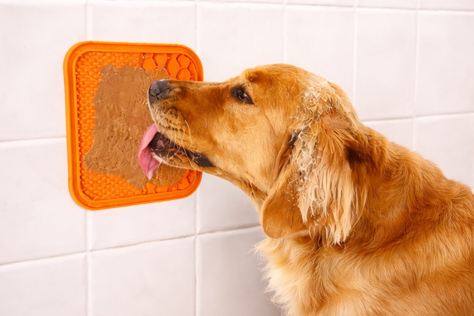 Silicone Dog Lick Mat & Slow Feeder | Suction Cup Anxiety Relief