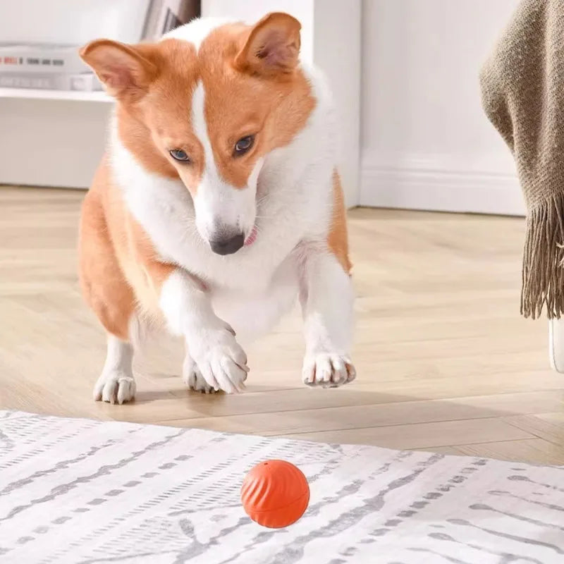 Smart Interactive Moving Ball for Dogs